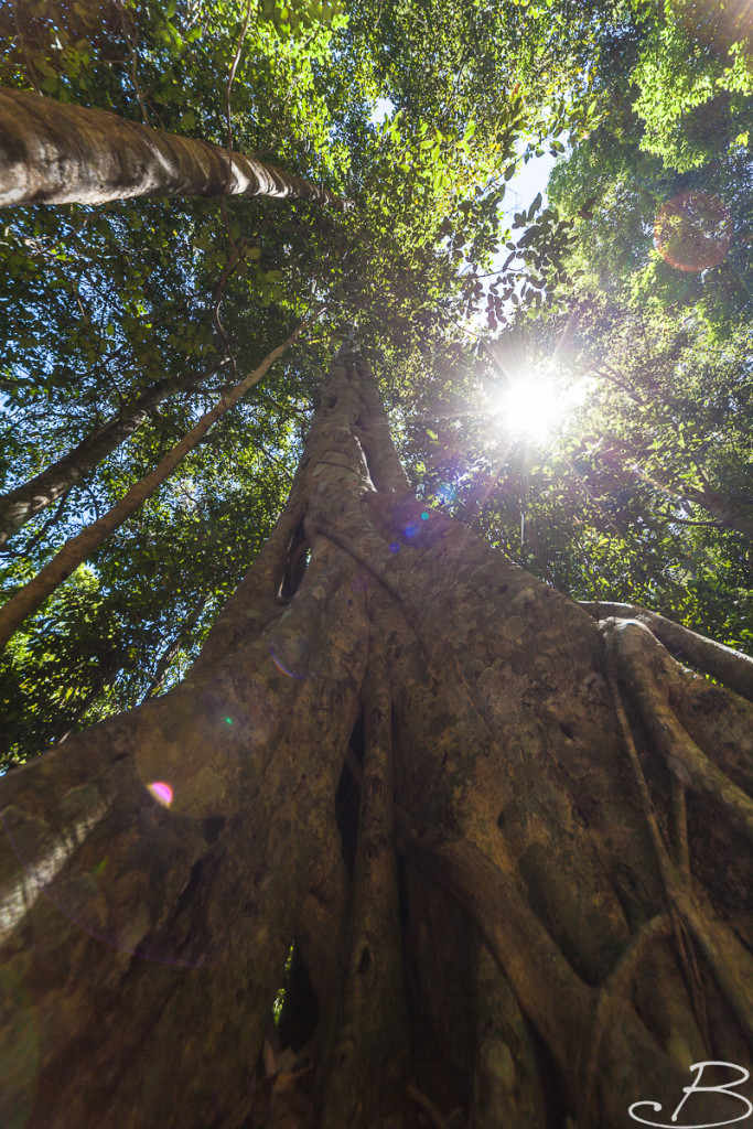 Day_04_Australia_Bo (16 von 93)