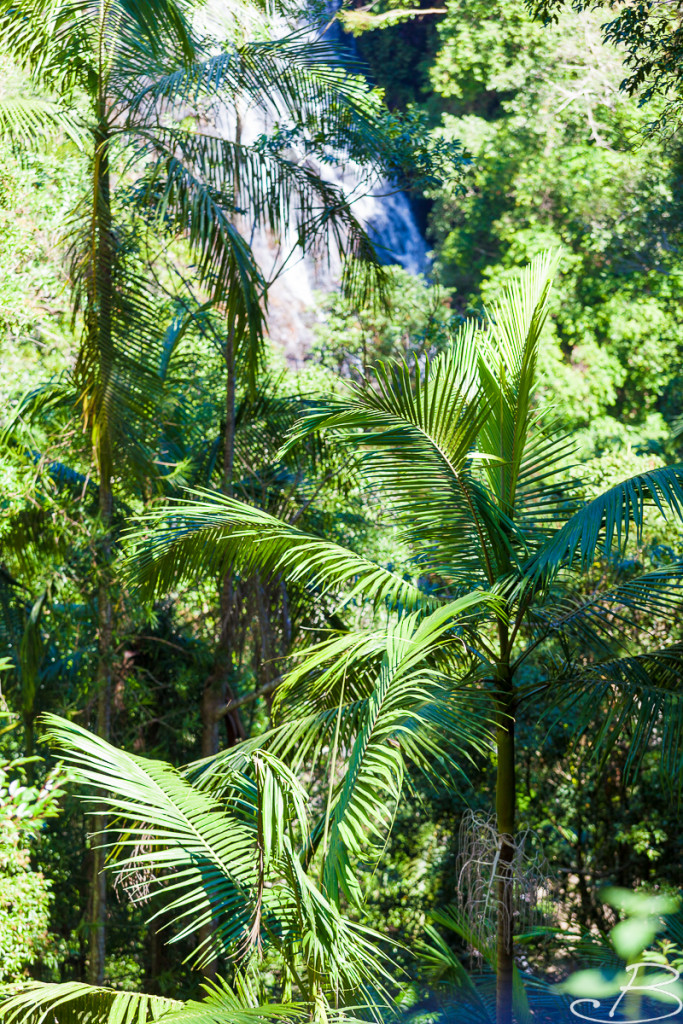 Day_04_Australia_Bo (19 von 93)