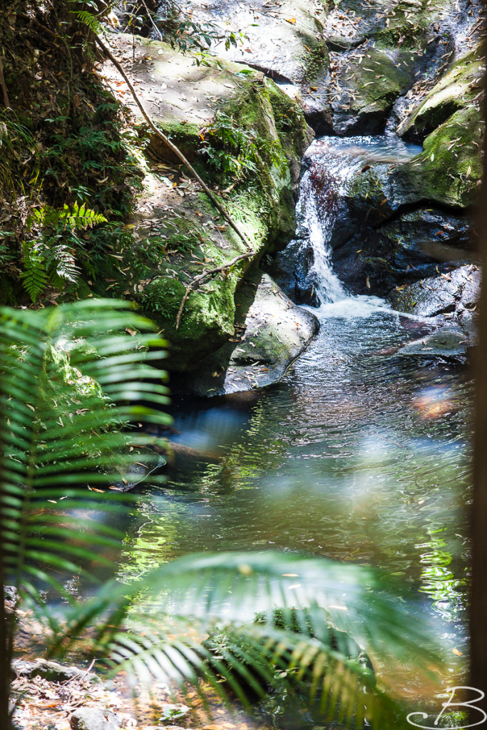Day_04_Australia_Bo (27 von 93)