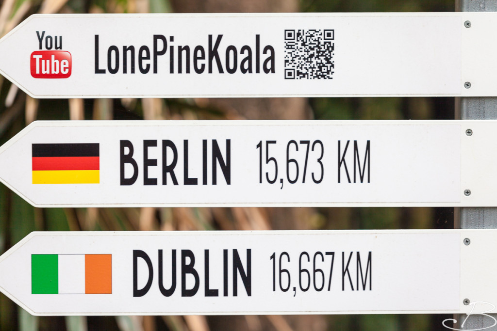 LonePine_Bo-2