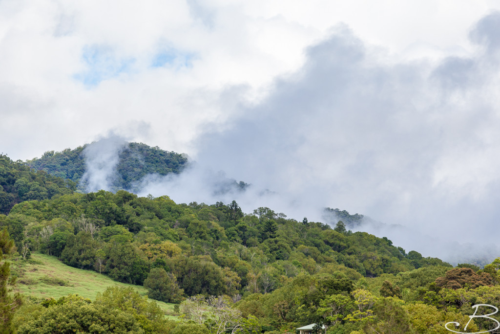 Brisbane-ByronBay_Bo-14