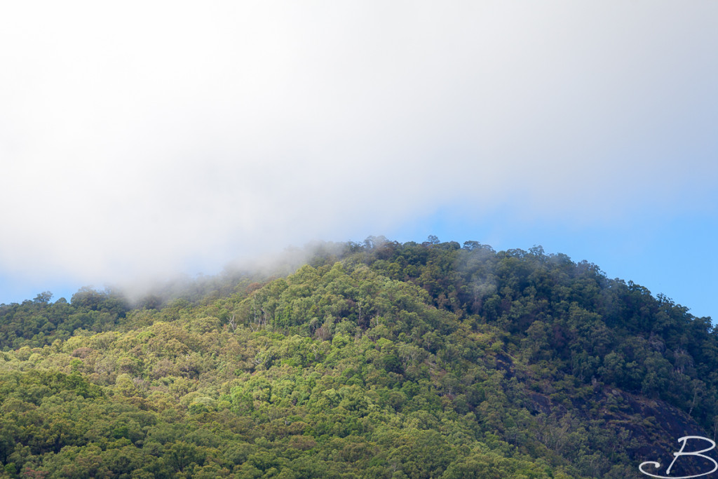 Brisbane-ByronBay_Bo-17