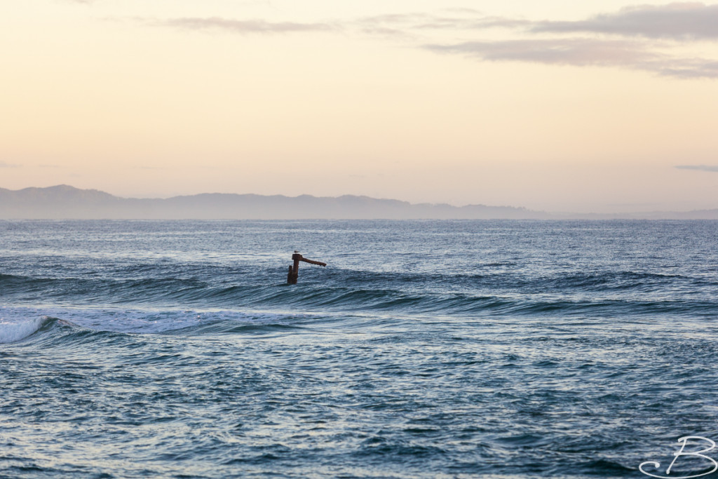 Bo_ByronBay-SouthWestRocks-20