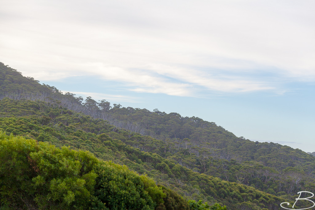 Bo_ByronBay-SouthWestRocks-41