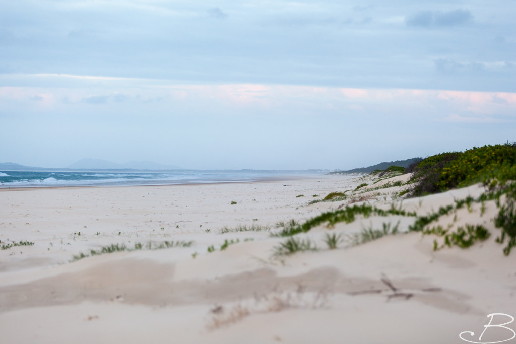 Bo_ByronBay-SouthWestRocks-8271