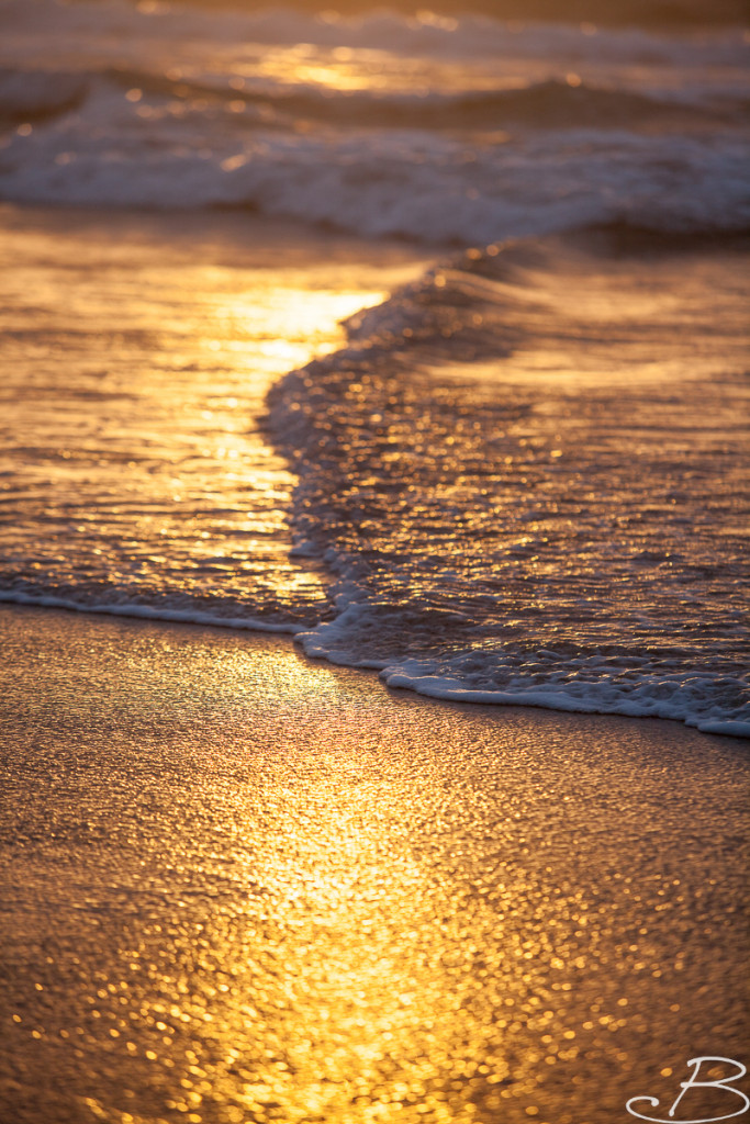 Bo_ByronBay-SouthWestRocks-8365
