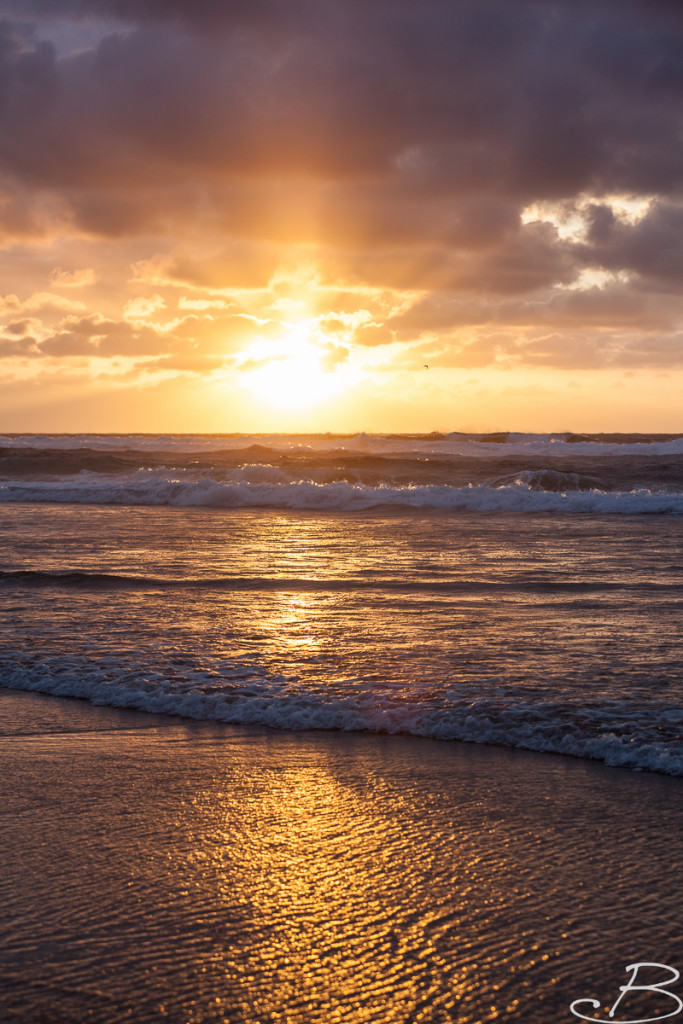 Bo_ByronBay-SouthWestRocks-8373