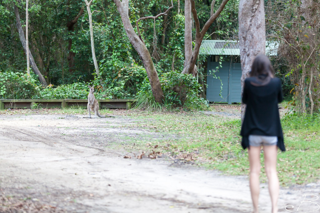 Bo_ByronBay-SouthWestRocks-8472