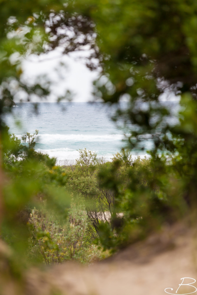 Bo_ByronBay-SouthWestRocks-8707