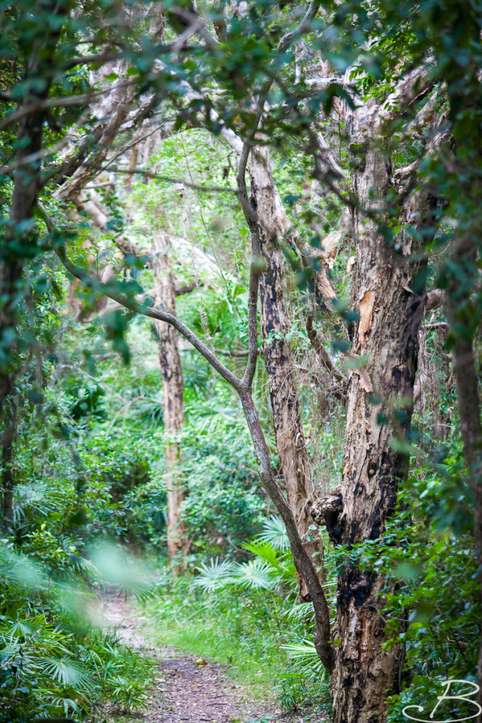 Bo_ByronBay-SouthWestRocks-8719