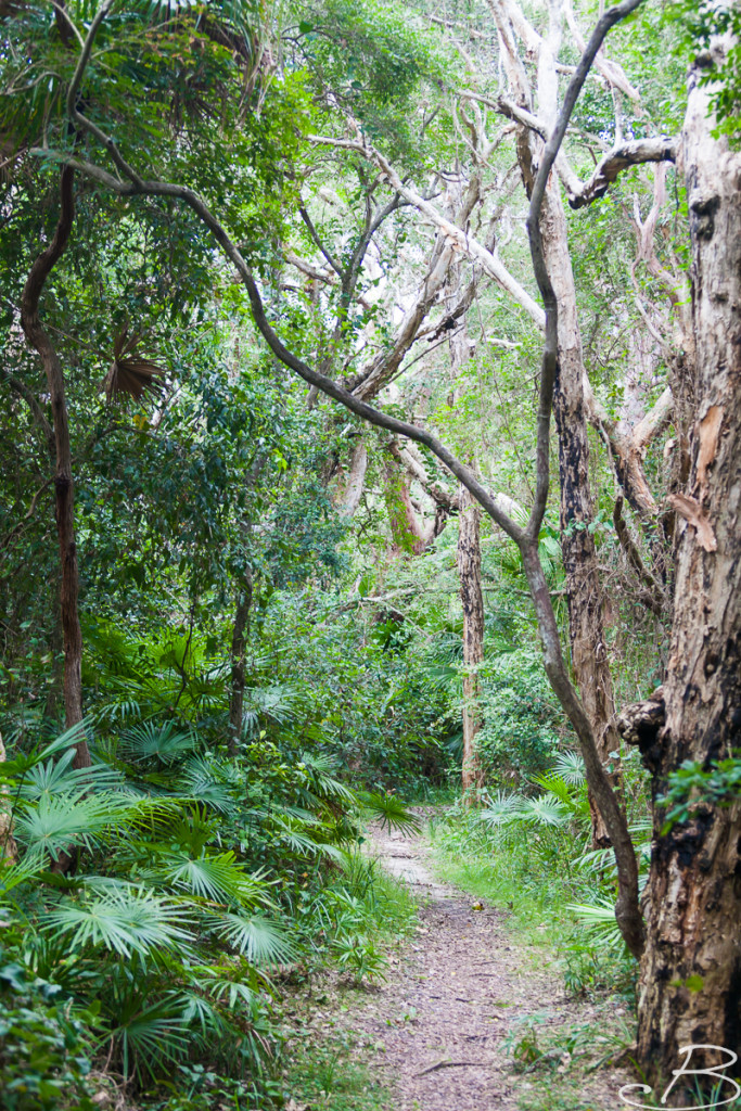 Bo_ByronBay-SouthWestRocks-8725