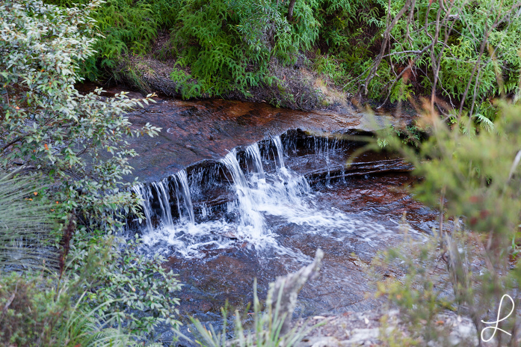 _MG_0290-2