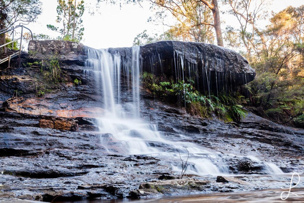 _MG_0316-2