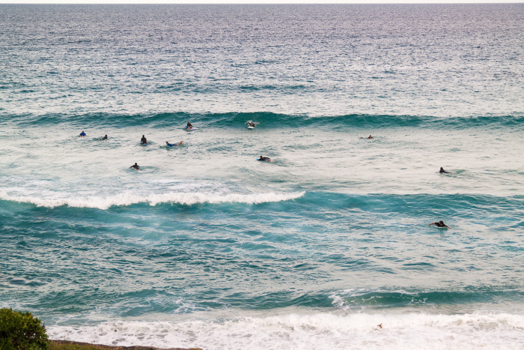 Bondi_Day14-20