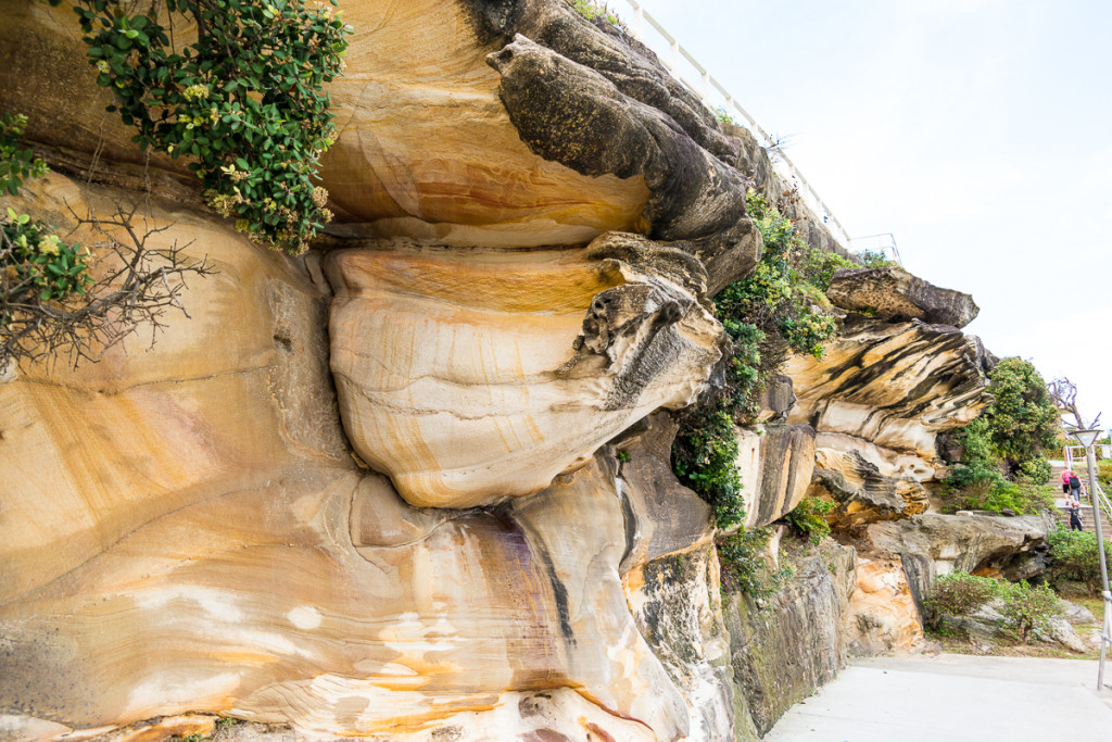 Bondi_Day14-33