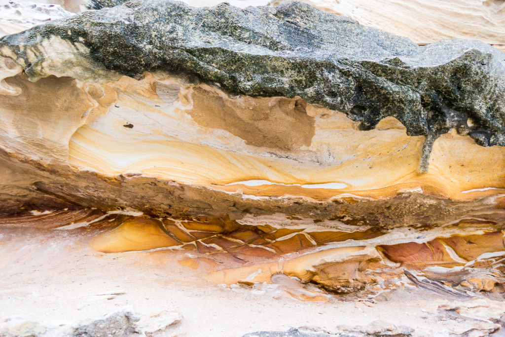 Bondi_Day14-34