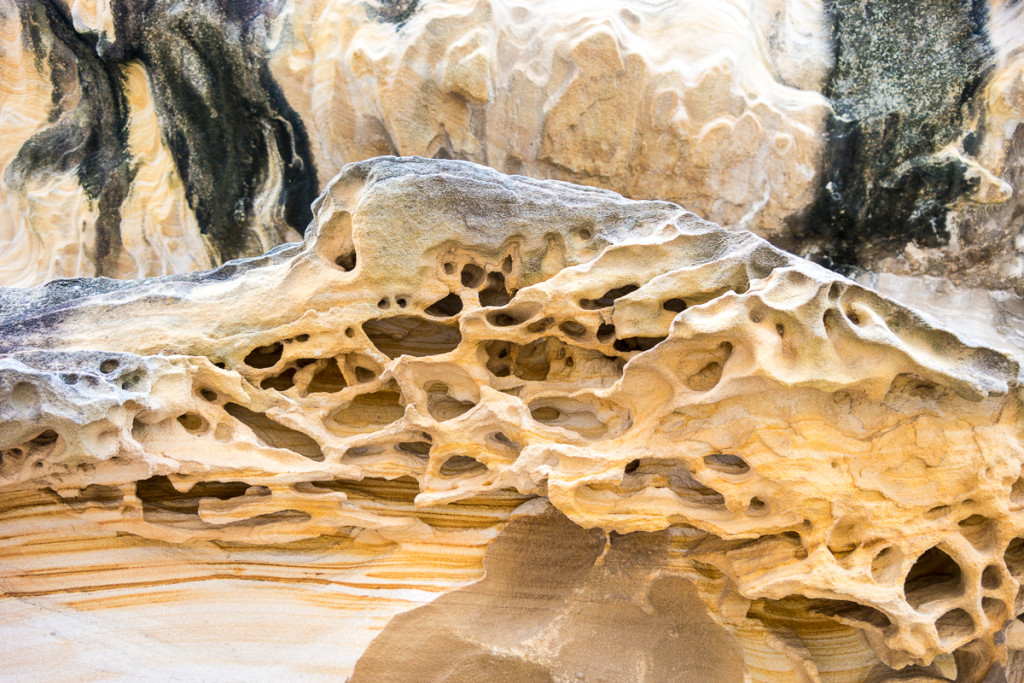 Bondi_Day14-36