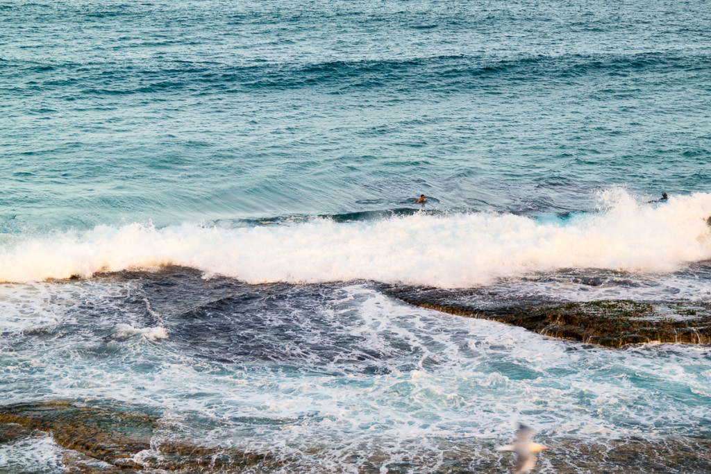 Bondi_Day14-46