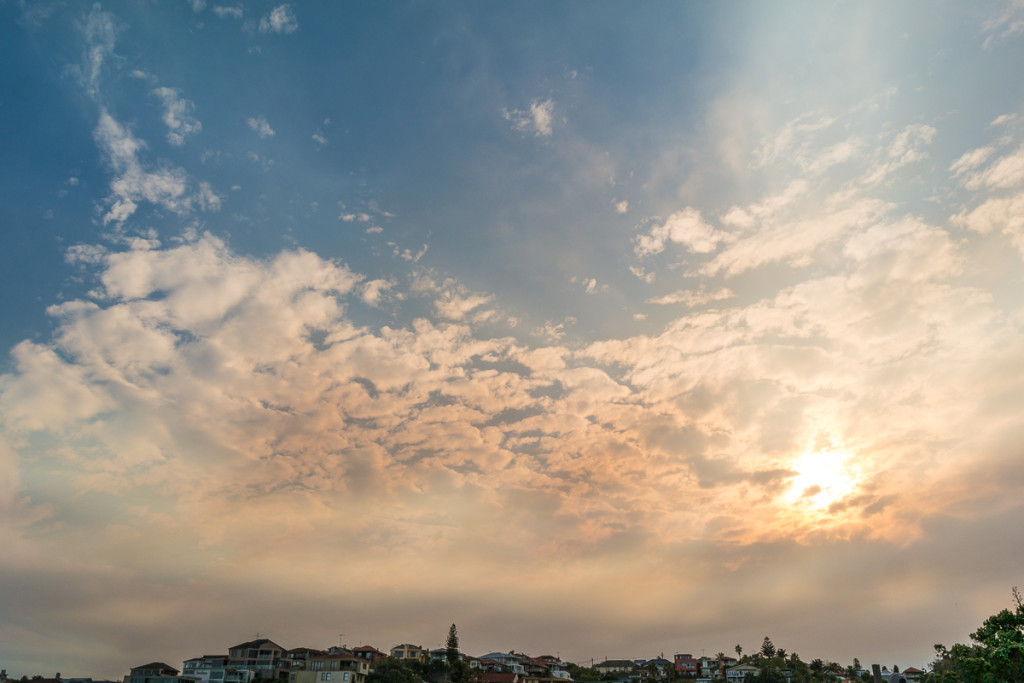 Bondi_Day14-47