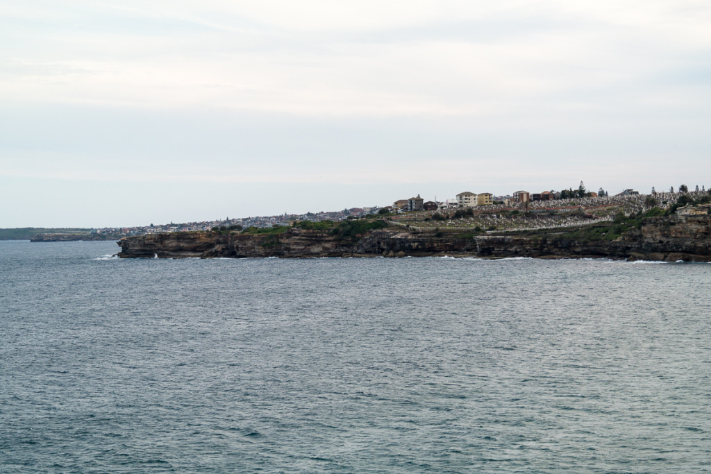 Bondi_Day14-65