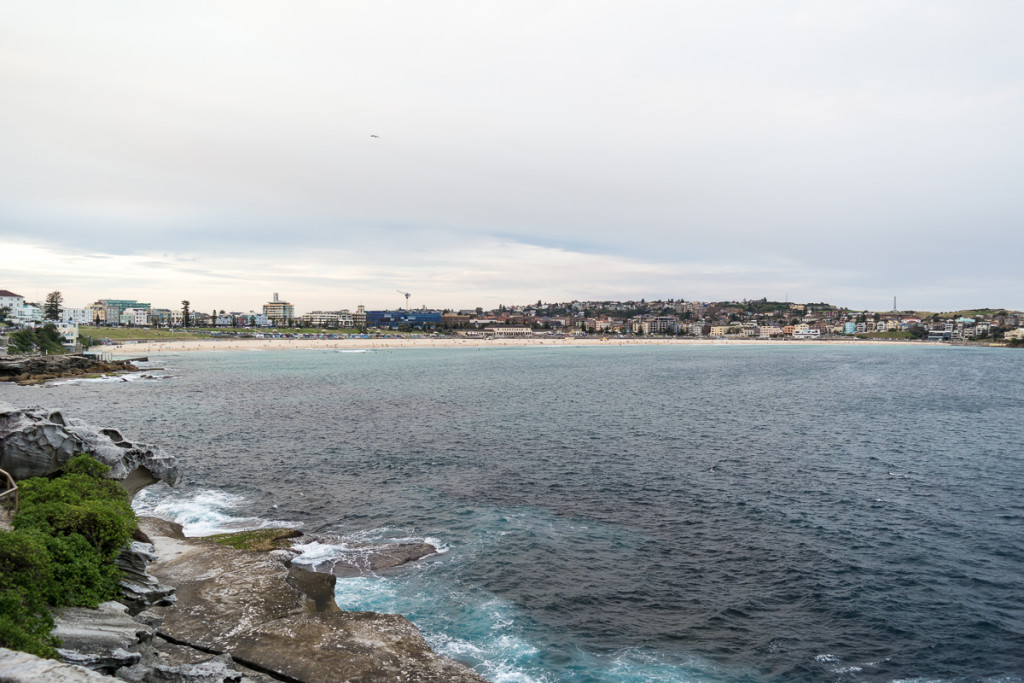 Bondi_Day14-68