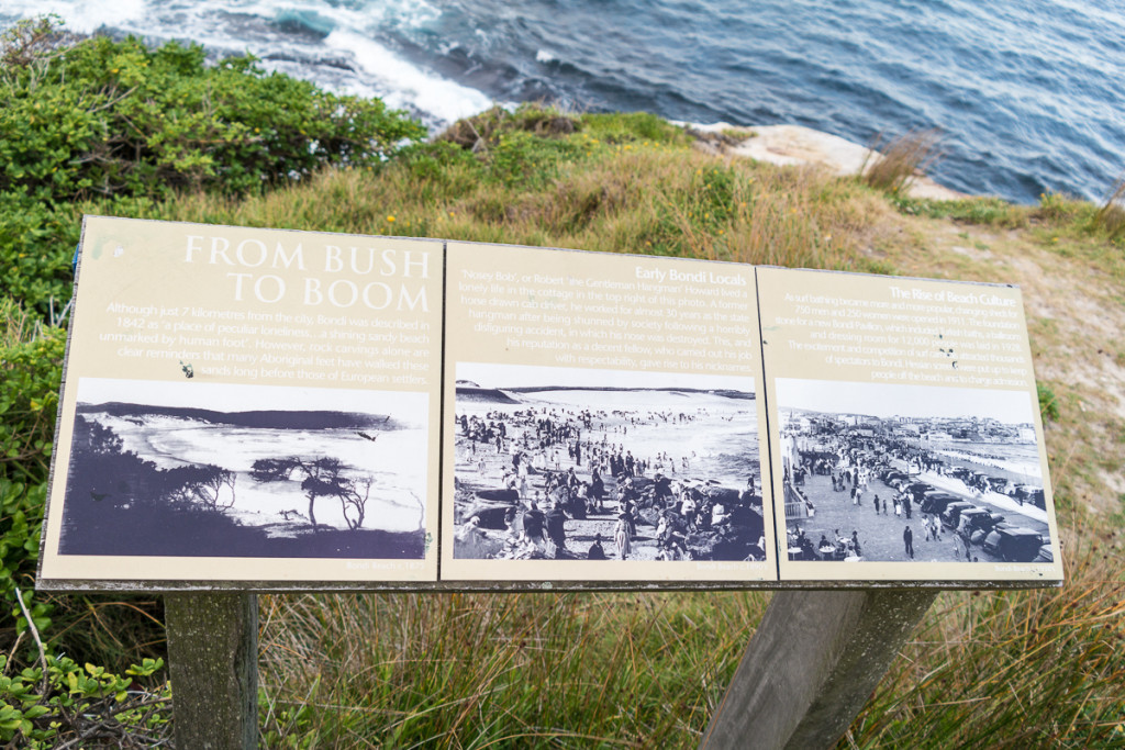 Bondi_Day14-69