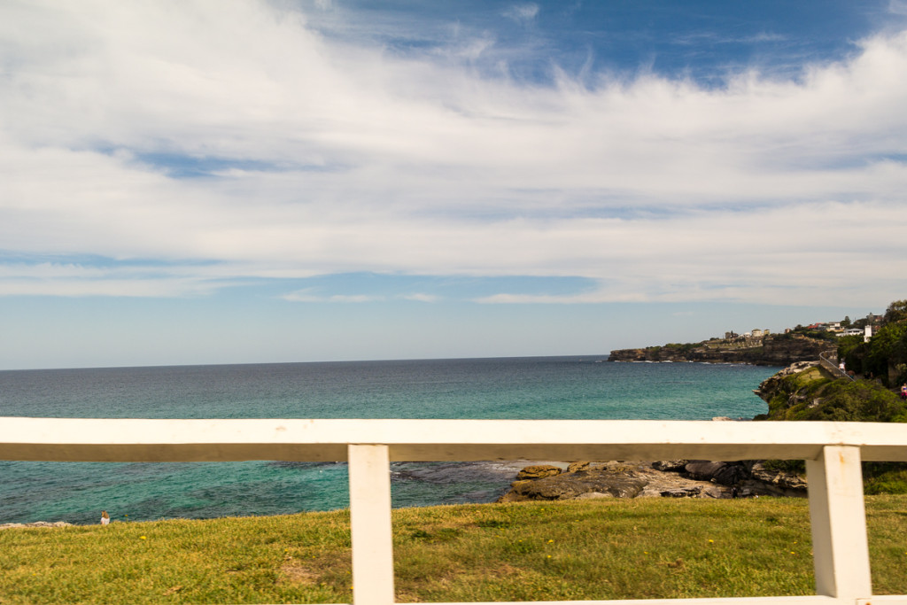 Bondi_Day14-7