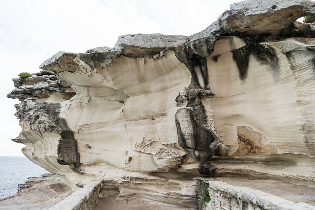 Bondi_Day14-72