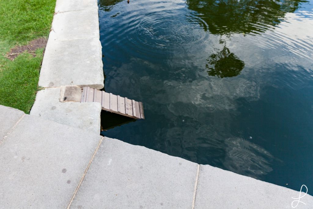 Eine Treppe für die Enten?