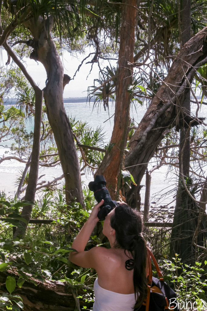 Ok das ist kein Koala. Das bin ich. Beim Koala fotografieren.