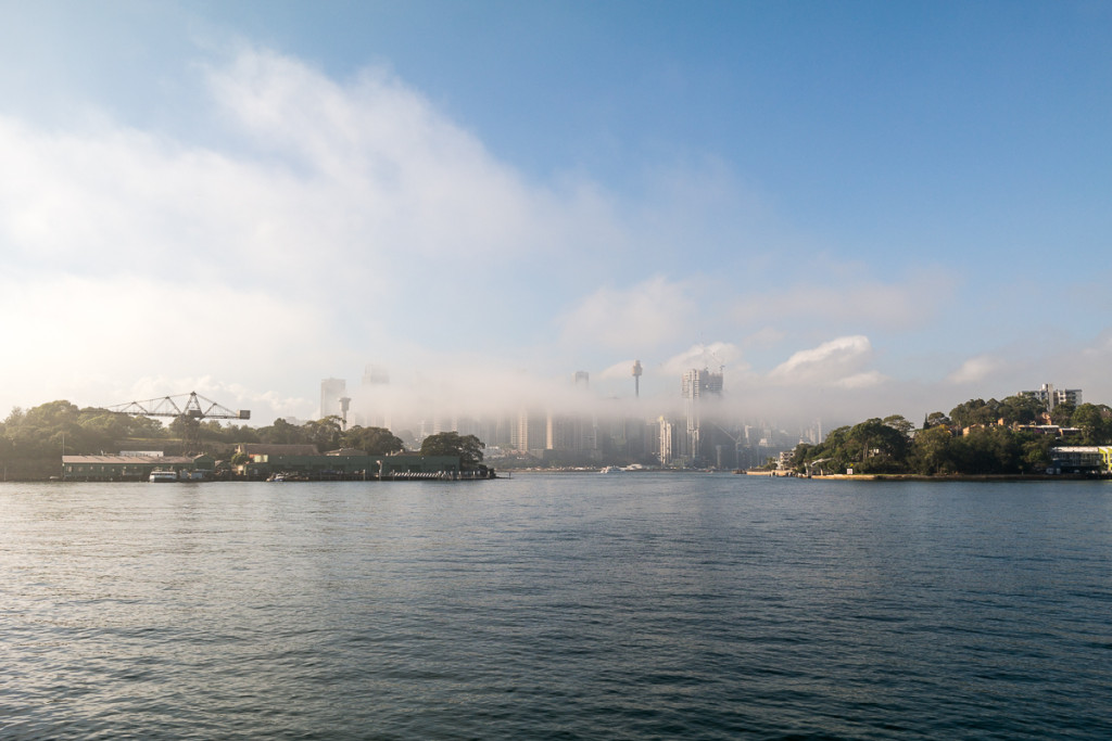 Manly-11