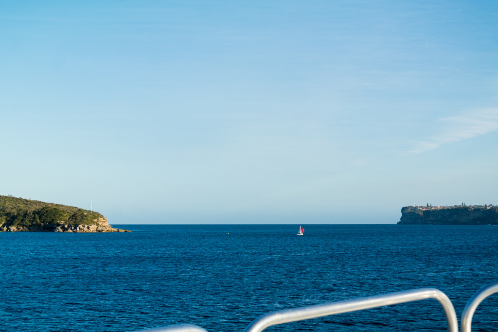 Manly-110