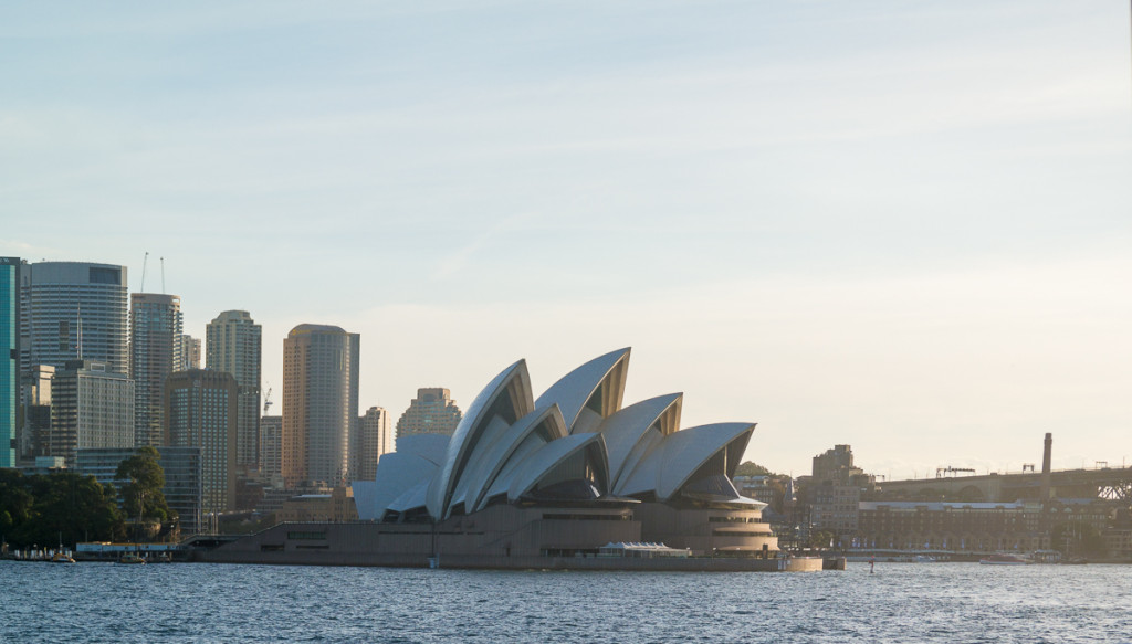 Manly-113