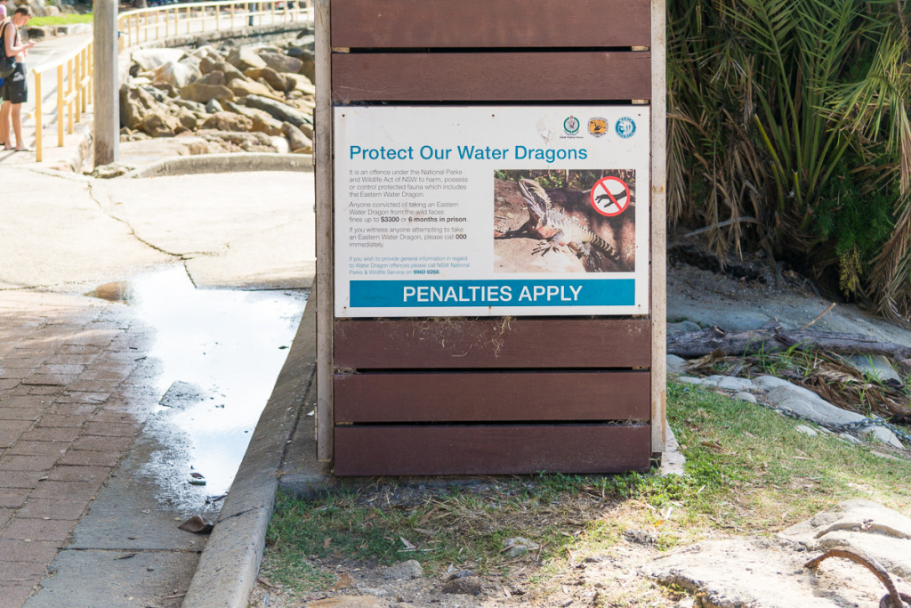 Manly-32