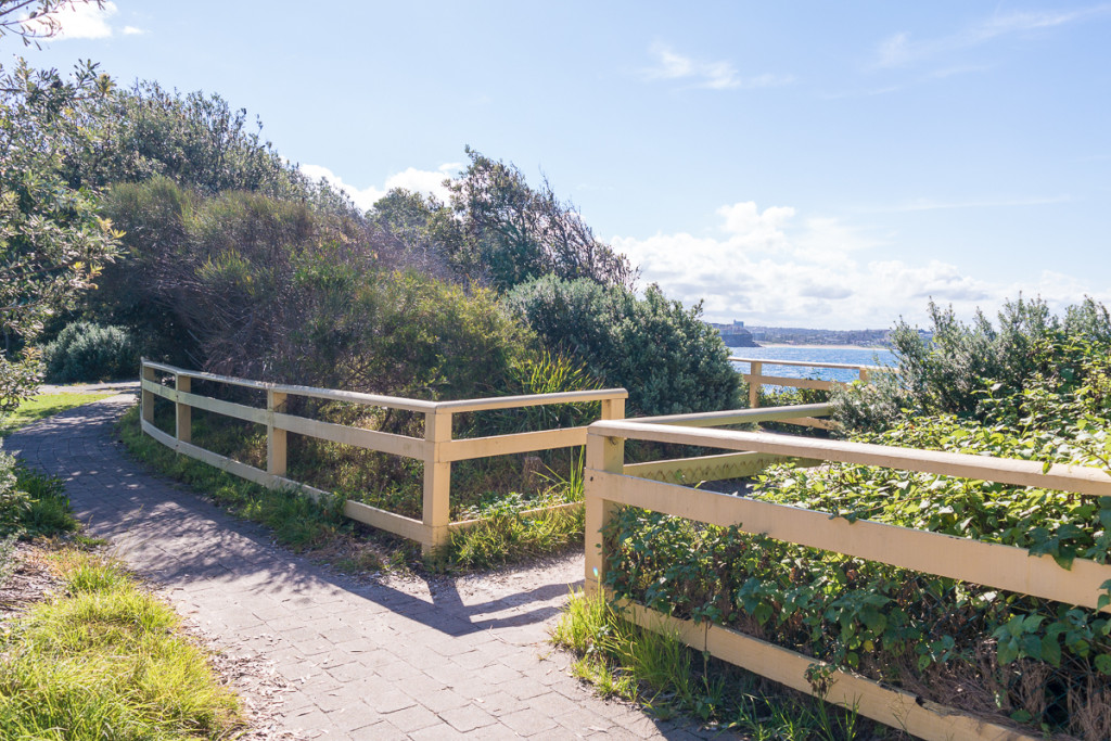 Manly-37