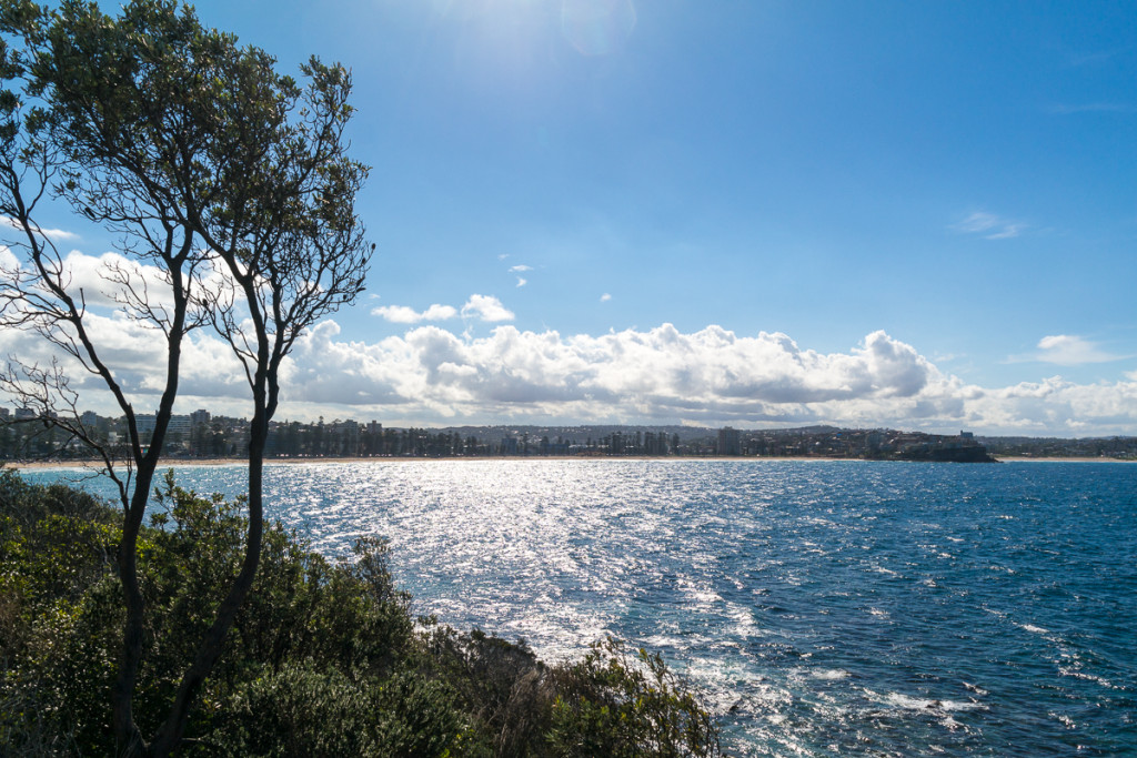 Manly-47