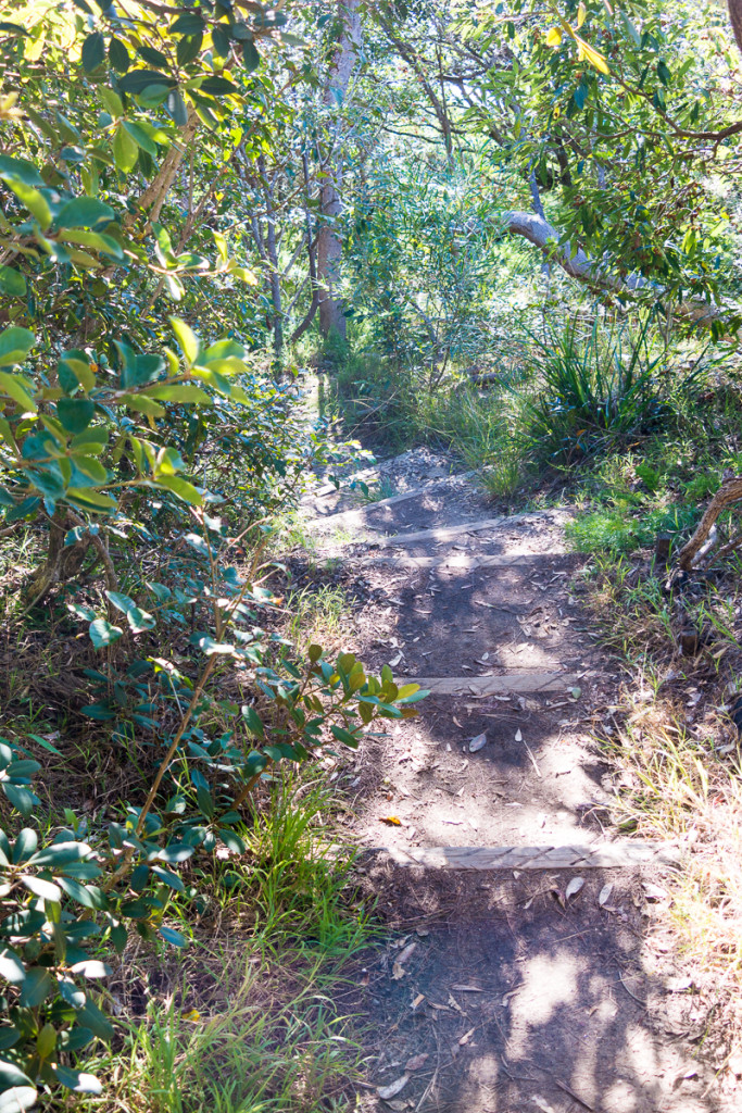 Manly-58