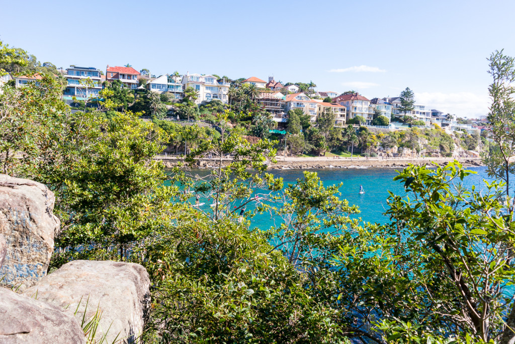 Manly-65