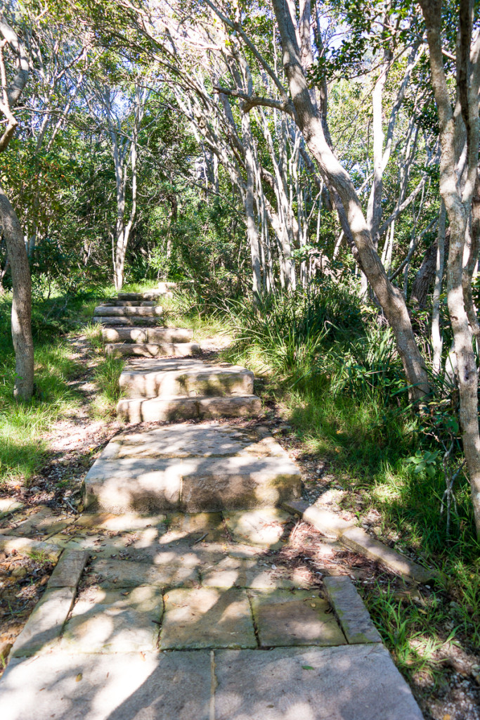 Manly-66