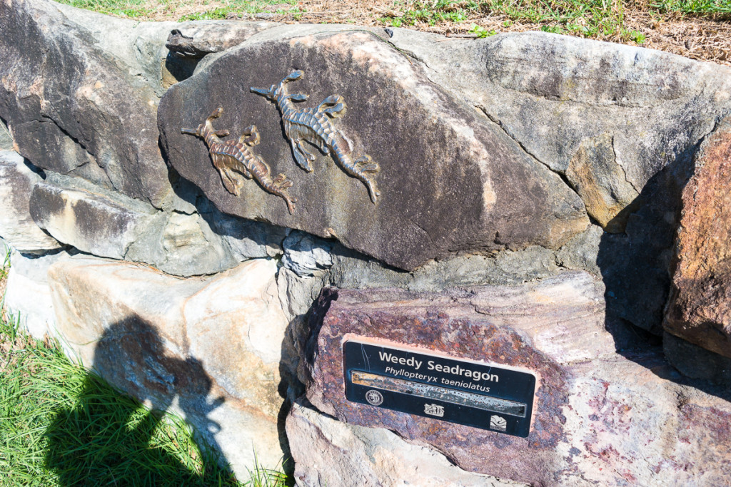 Manly-80