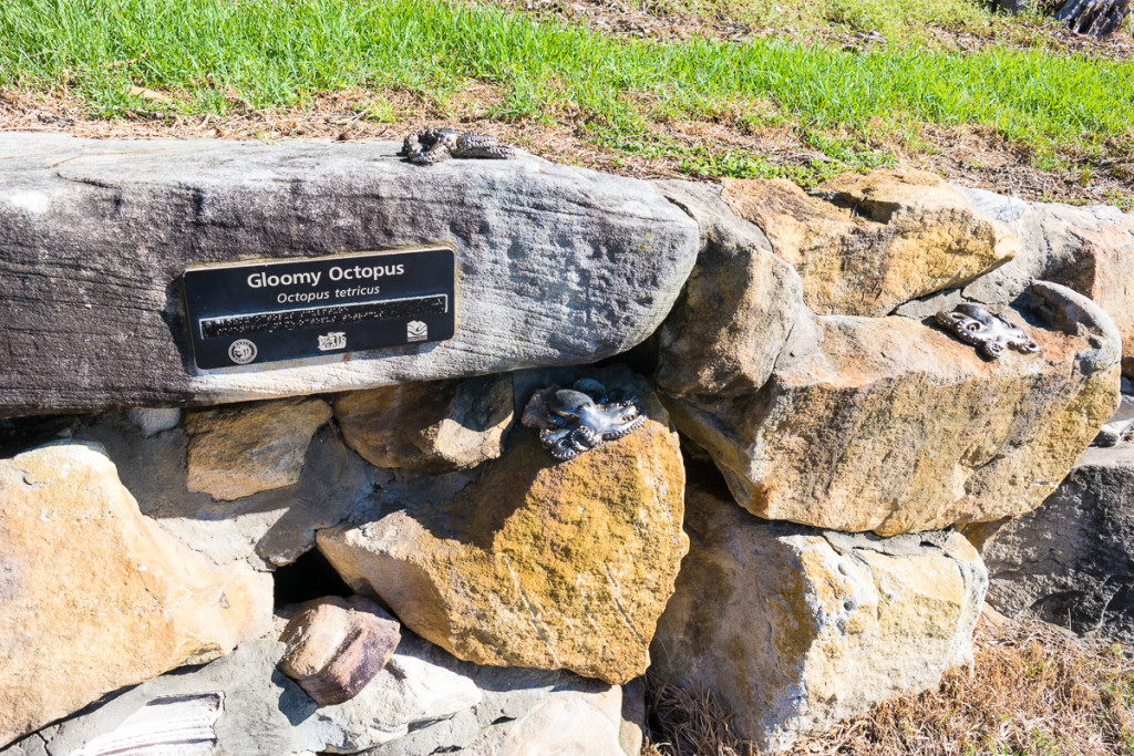 Manly-81